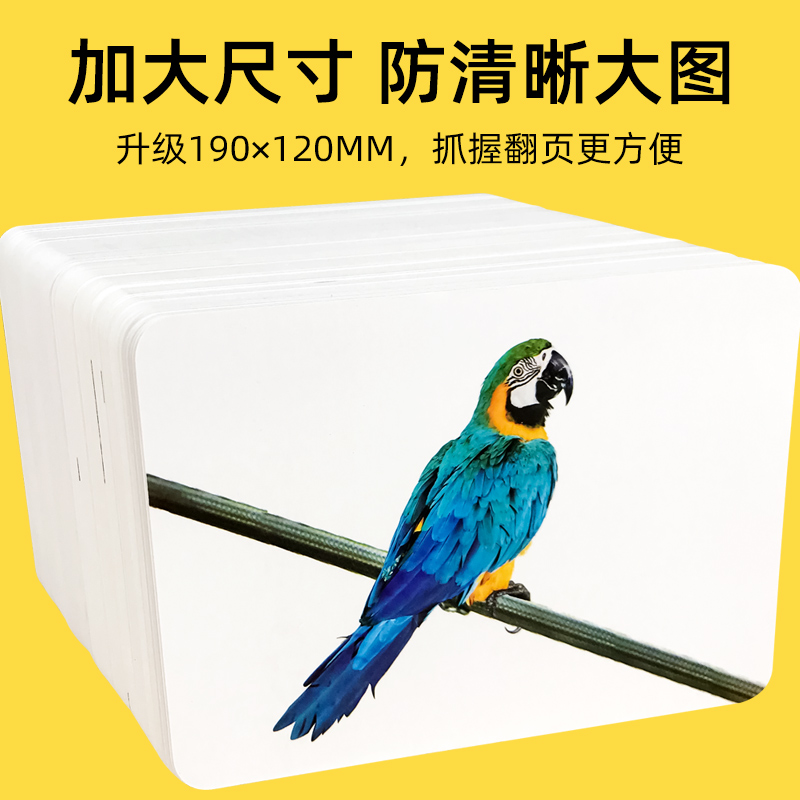 [醉染正版]宝宝彩色卡片识图早教卡2/3/4/5/6岁儿童识字卡幼儿认字看图启蒙全套幼儿园孩子认知卡益智玩具撕不烂图书动高清大图