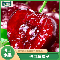 [苏鲜生]顺丰空运 美国进口车厘子 9R 净重5斤装 应季车厘子 新鲜水果 酸甜可口