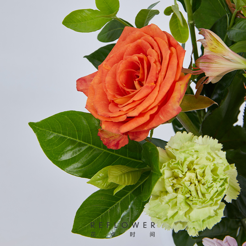 花点时间落日清晨(实物玫瑰、康乃馨、小菊、水仙等花材,72小时发货、电话保持畅通)高清大图