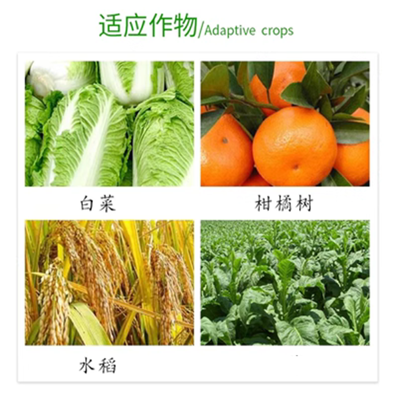 敌百虫粉剂 1kg/包 12包/箱