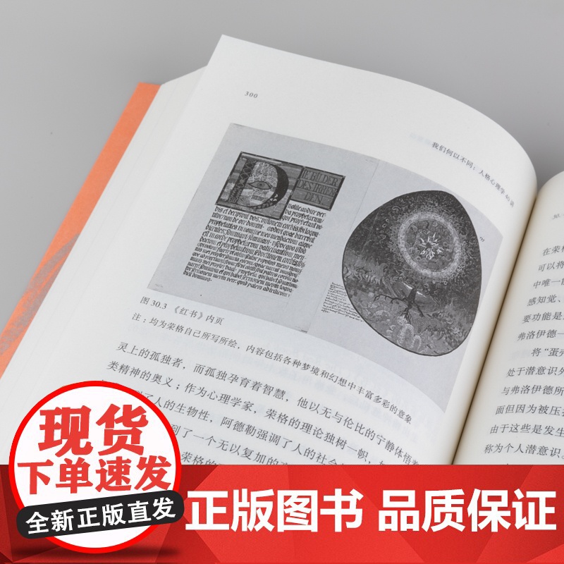 我们何以不同 : 人格心理学40讲高清大图
