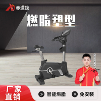 赤道线 健身健身房有氧器材商用立式健身车 CDX-A523S-BCE409A