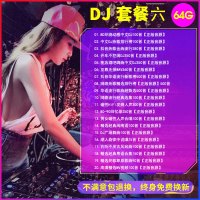 汽车载U盘dj歌曲重低音劲爆舞曲夜店嗨曲炸街工体d亅音乐车用优17 套餐DJ六32/G4000首DJ歌曲全歌曲