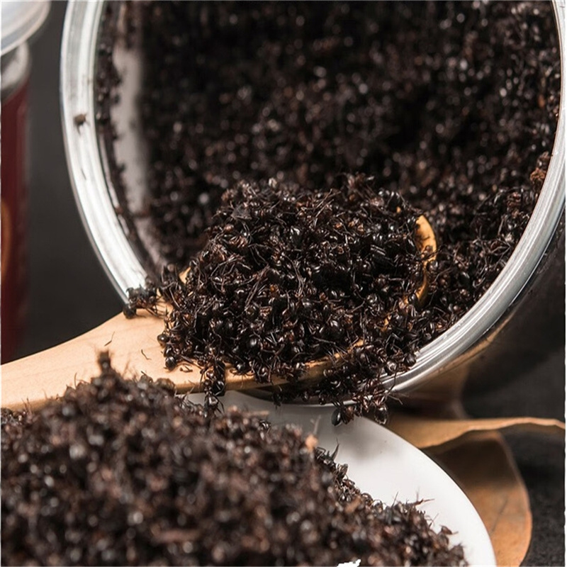 黑蚂蚁250g正宗大黑蚂蚁红蚂蚁食用养生黑蚂蚁泡酒料散装可磨粉高清大图