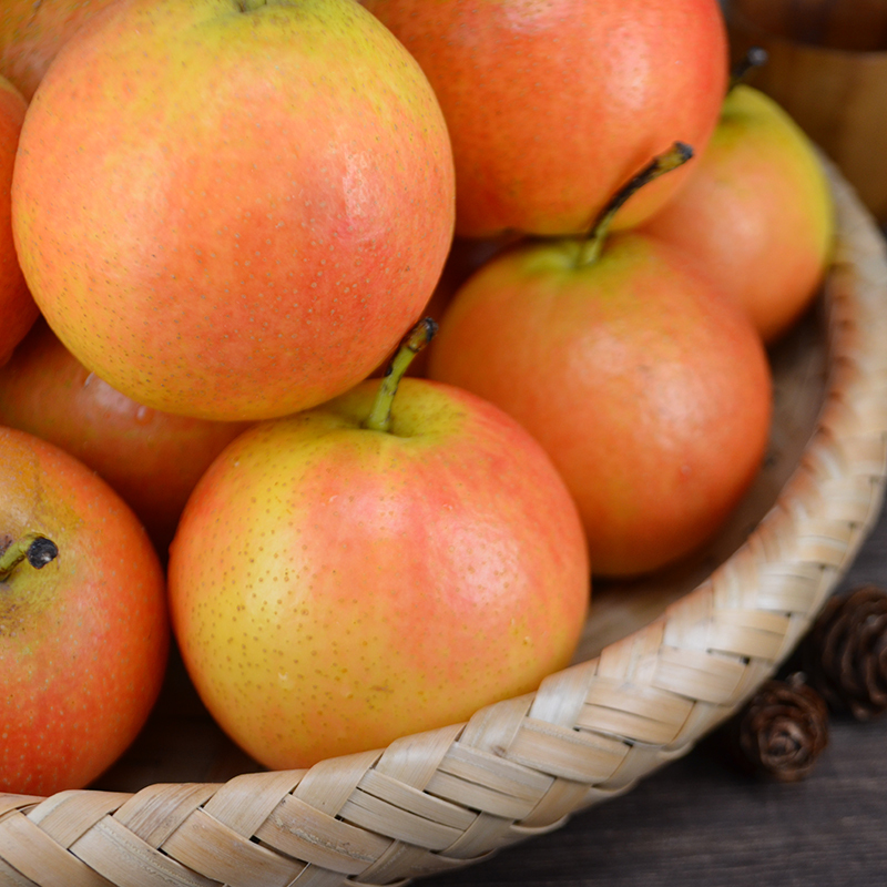 鞍山南果梨5斤装 新鲜东北特产水果正宗南国香水梨子【三天内发货】