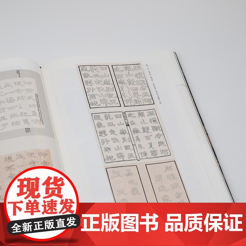 二王以外 清代碑学的历史思考 薛龙春著 开放的艺术史 中国晚期文化史上的大事 独特研究和反思性的历史考察 三联书店高清大图