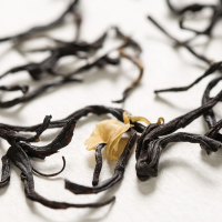 润思红茶 茉莉花茶 红茶 kate王妃 罐装80g 花香悠长 祁门红茶茶叶