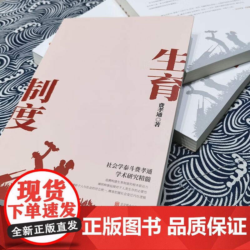 生育制度 费孝通 著 社会学理论高清大图