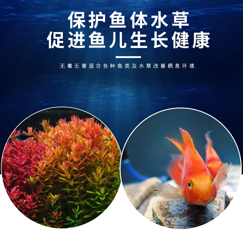 硝化细菌鱼缸用净水剂活菌淡水海水养鱼水质稳定剂净化高清大图