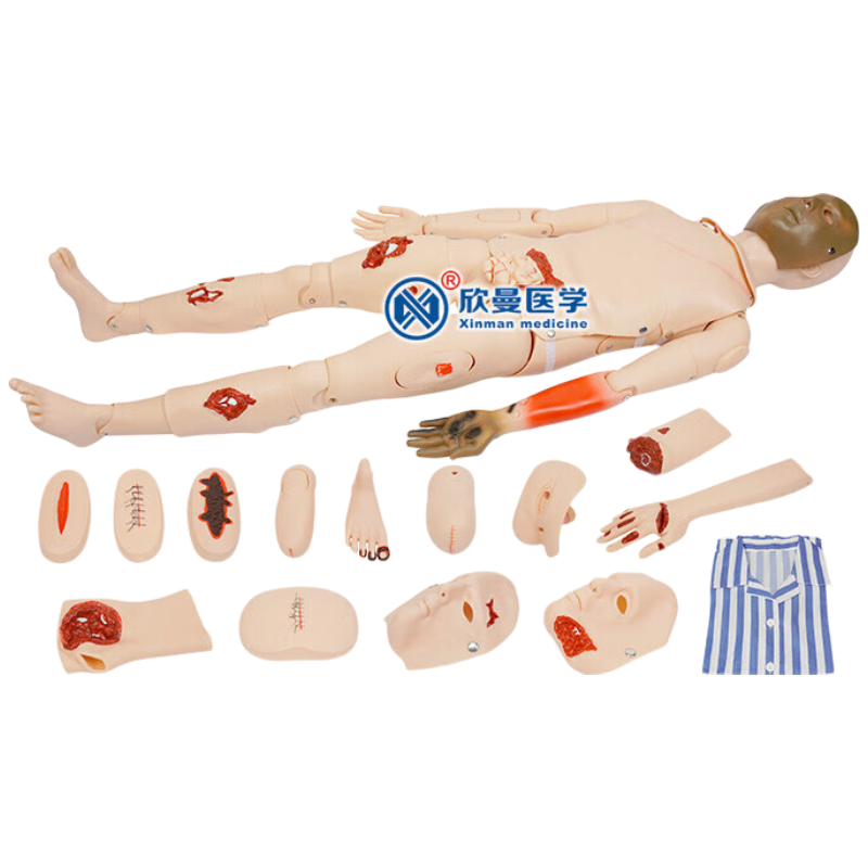 欣曼科教(XINMAN SCIENCE)高级全功能创伤护理人模型 创伤止血包扎操作训练模拟人XM-00132高清大图