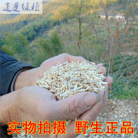 绿植山区野生白茅根500克白茅根干品白毛根甜根坚根茅针白茅