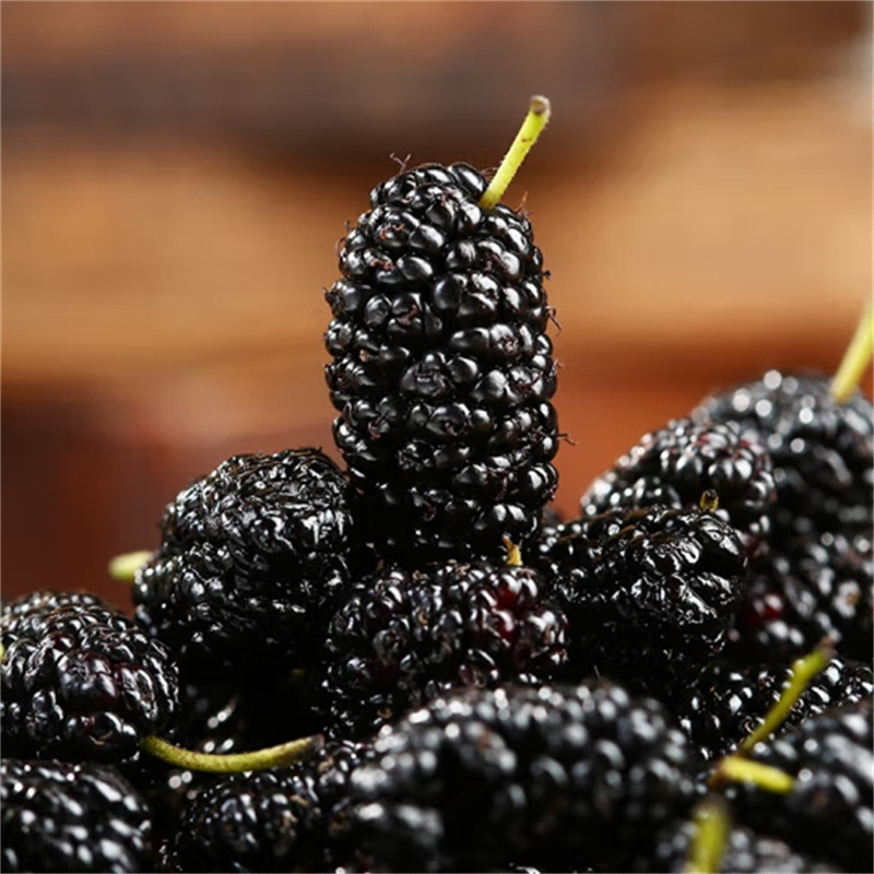 新疆大果桑葚干黑桑椹桑葚茶甄选泡茶泡酒正品官方店免洗无硫可搭枸杞高清大图