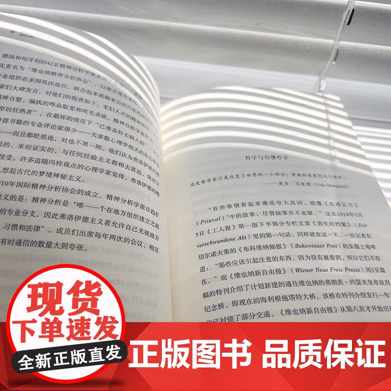 精神的奥德赛 罗洛 梅传 罗伯特·H.阿布朱格 著 传记高清大图