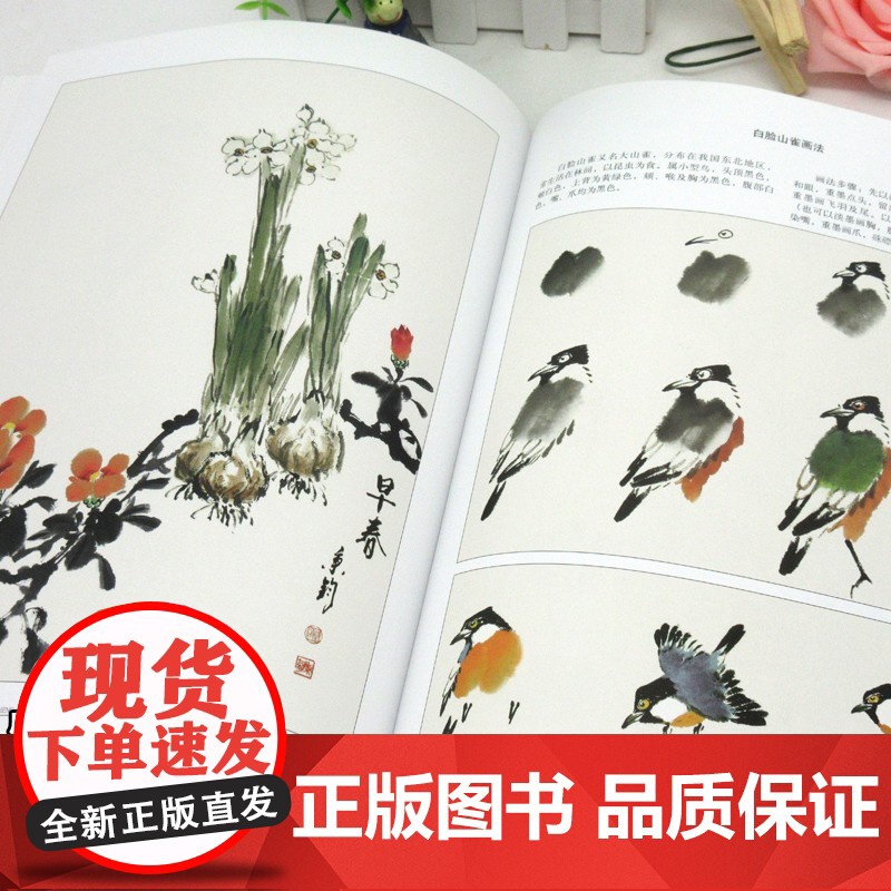 小写意花鸟画教程上册 传统中国画技法详解 国画从入门到精通自学零基础教程书临摹范本大全 美术绘画初学者名家教材书籍 安徽高清大图