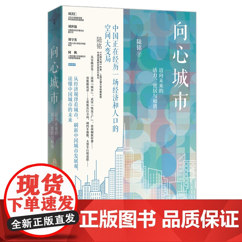 大国经济学/大国大城/向心城市/空间的力量:地理政治与城市发展第3版/大国大城 陆铭作品城市观念世纪文景中国城市的未来经高清大图