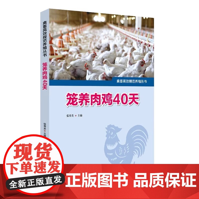 笼养肉鸡40天 畜禽规范养殖丛书养鸡大全鸡病防治及安全用药鸡病快速诊断防治技术鸡养殖书籍鸡养殖教程大全蛋鸡肉鸡高效养殖配高清大图