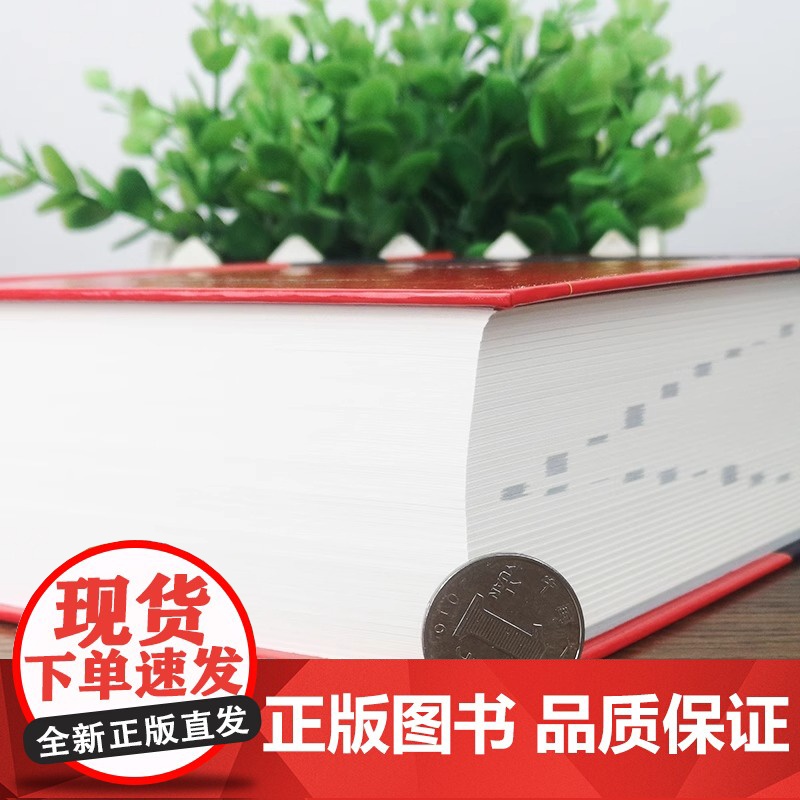 2005新版 新华大字典第3版单色本 小学生初高中生中学通用专用正版工具书 现代汉语古代汉语常用字新华汉语词典高清大图