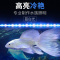 鱼缸LED灯潜水灯水草灯防水龙鱼灯增艳节能超亮水族箱装饰照明灯 双排灯珠蓝白款(豪华版) 18cm-2W建议20cm以上