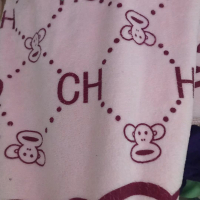 金号(KING SHORE)纳米毛巾