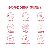 三洋(SANYO)V9 9公斤DD直驱变频 全自动波轮洗脱一体洗衣机 原厂电机 速溶洗 桶自洁 甩干脱水(亮灰色)