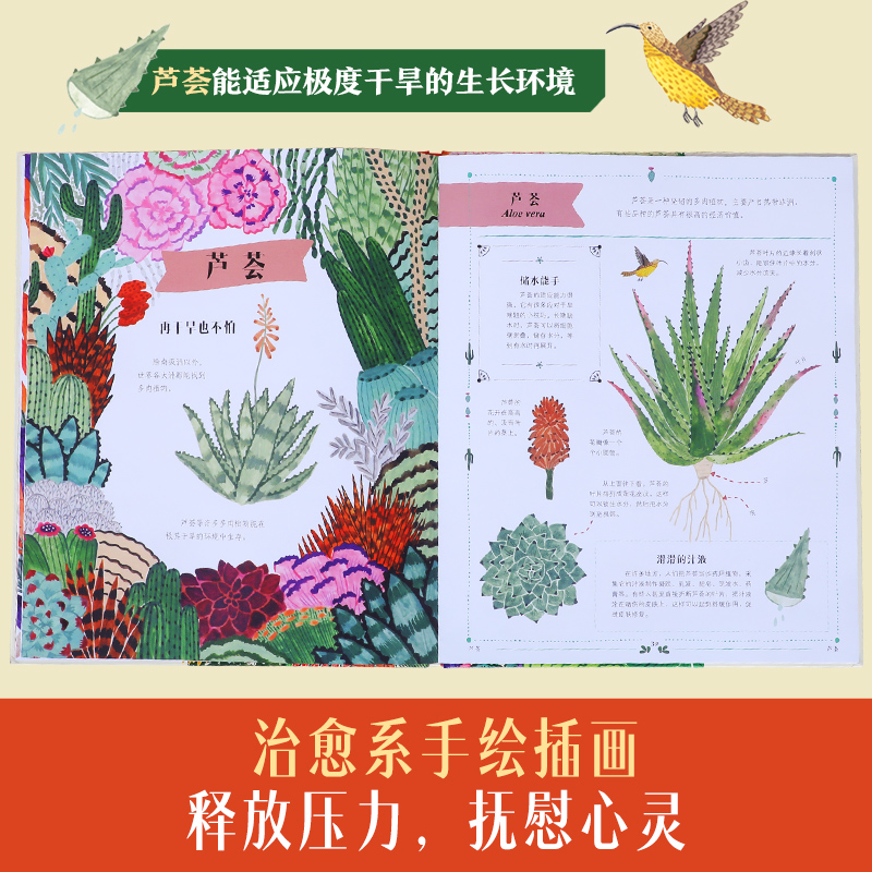 万物生长 平凡日常里的非凡植物 [正版] 万物生长 平凡日常里的非凡植物 科普阅读 小学生一二三年级课外阅读读物 趣味高清大图