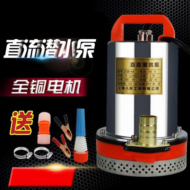 汐岩水泵48V 12V240V直流潜水泵插头的抽水泵家用小型刷车农用500w高扬程 48V300W15米电线高清大图