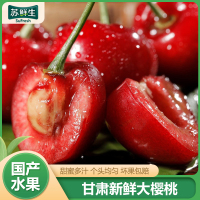 [苏鲜生]EMS空运 甘肃新鲜美早大樱桃 净重5斤 单果28-32mm 新鲜水果大樱桃 酸甜可口