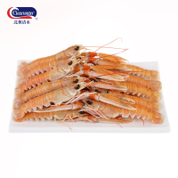 Clearwater/北极清水 英国原装进口挪威海鳌虾盒装 海鲜火锅食刺身料理生鲜食材 海鳌虾500g