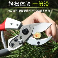 苏宁宜品推荐 园林设计枝剪 8寸