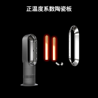 [预售]戴森(Dyson)AM09 多功能无叶风扇 兼具风扇取暖功能 无叶设计四季适用 银色