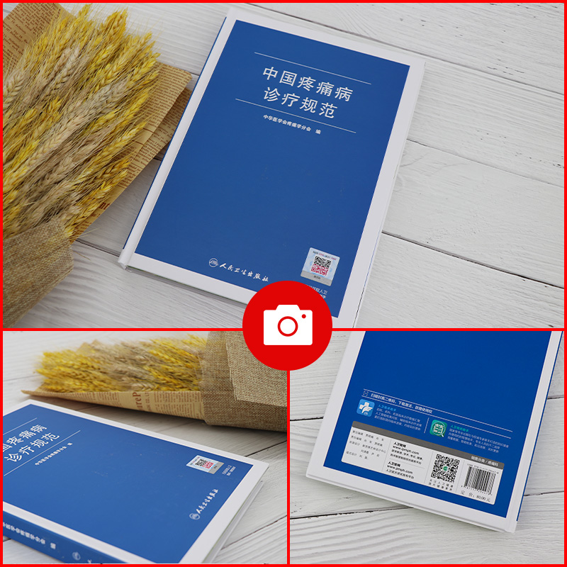 [正版]中国疼痛病诊疗规范 中华医学会疼痛学分会 疼痛诊疗学现代麻醉学疼痛科书籍治疗技术临床诊疗指南 人民卫生出版社外高清大图
