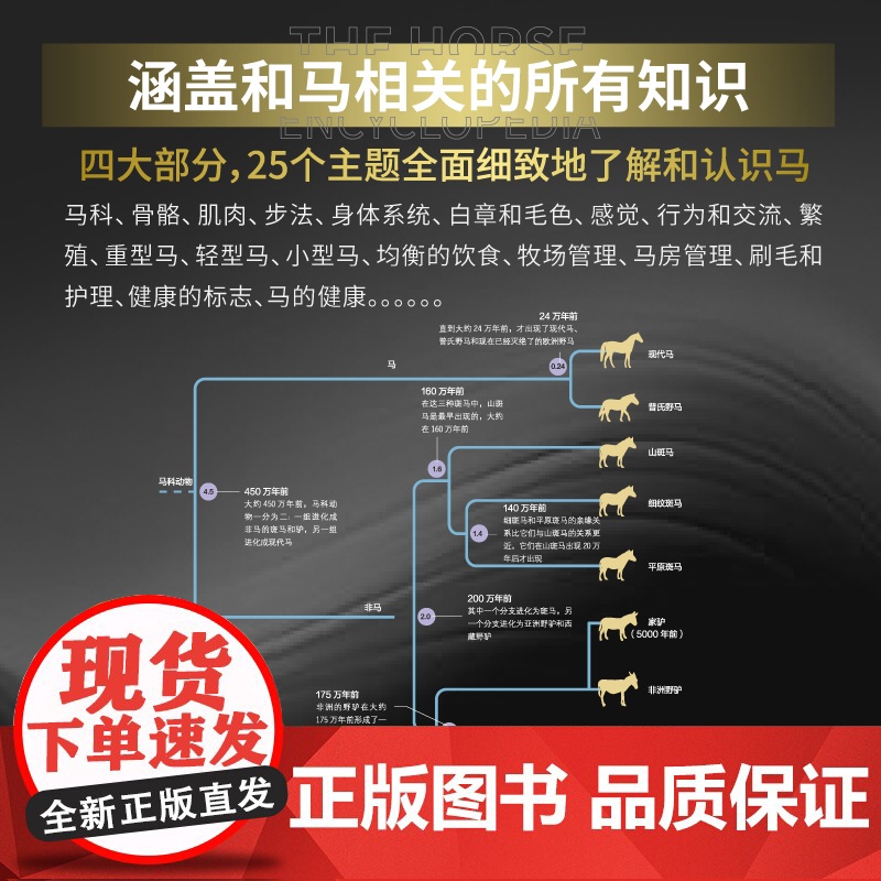 DK马百科全书全新升级版 英国埃尔温哈特利爱德华兹 骑手马术 北京科学技术高清大图