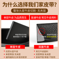 七匹狼皮带男真皮自动扣男士腰带正品高档品牌纯牛皮裤带生日礼物