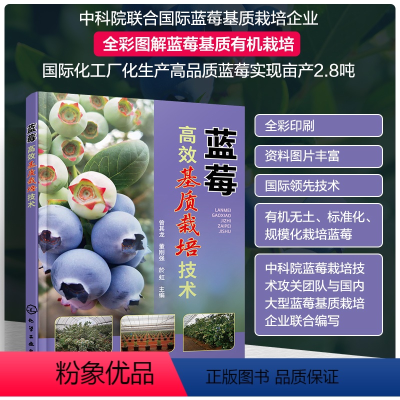 【正版】蓝莓高效基质栽培技术 曾其龙、董刚强、於虹 主编化学工业出版社9787122444592书籍