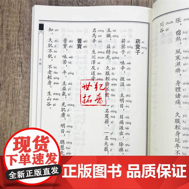 正版 神农本草经 繁体竖排大字注音版 中医养生书原版原著中华经典诵读教材拼音版 呈现中药学源头之书 日常食疗食养高清大图