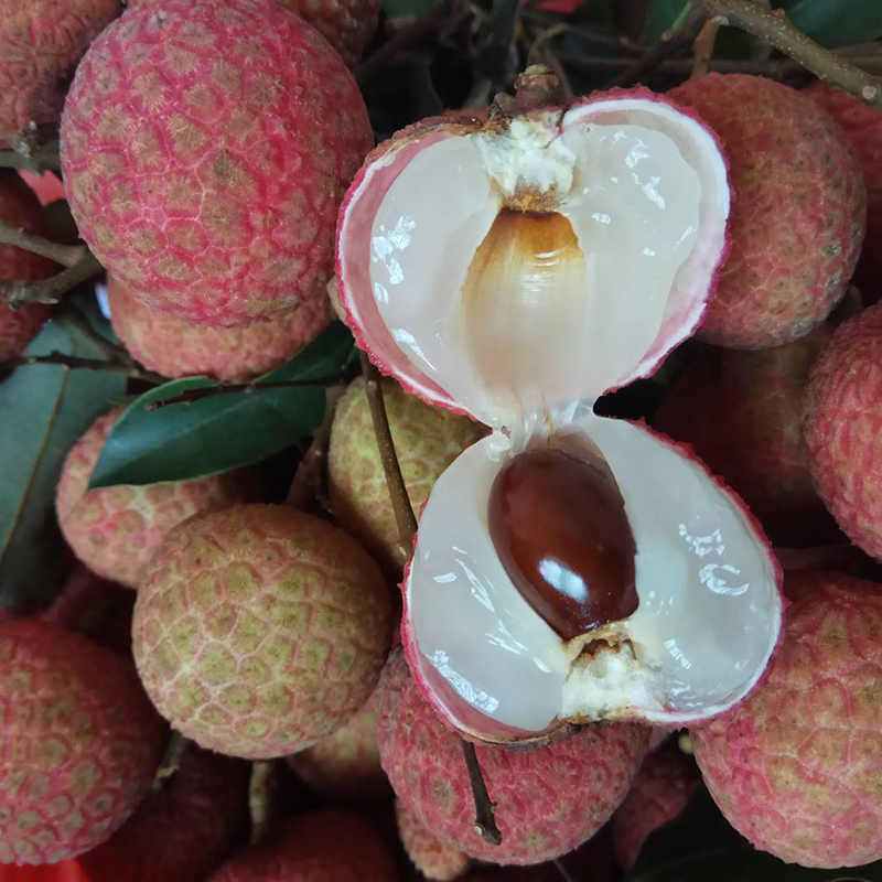 白糖罂荔枝3斤净重28斤新鲜水果生鲜水果国产水果陈小四水果