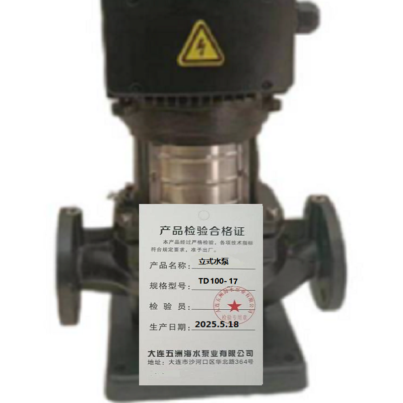 五洲泵业立式水泵TD100-17台高清大图