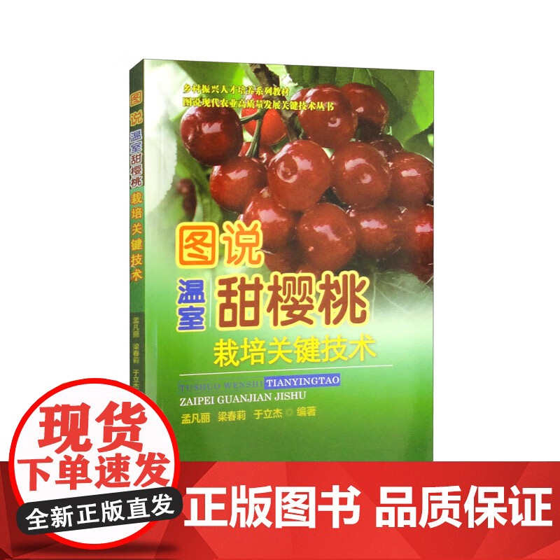 图说温室甜樱桃栽培关键技术 孟凡丽 梁春莉 于立杰编著 温室大棚樱桃栽培管理技术9787565528101高清大图