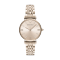 阿玛尼(Emporio Armani) 满天星女表 七夕情人节礼物送女友镶钻时尚石英腕表 金盘钢带 AR11059