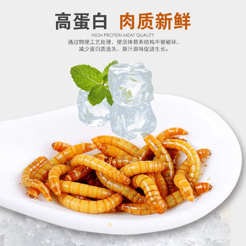 龙鱼饲料金龙红龙银龙大麦虫血鹦鹉鱼食罗汉热带鱼饲料面包虫_944_163 默认尺寸 高蛋白保鲜大麦虫400g（适合各中大型鱼类食用）