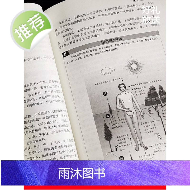 5册 中医自学百日通零基础学李时珍本草纲目原版图解黄帝内经全集中药祖传偏方秘方验方基础理论中医书籍大全养生正版全套入