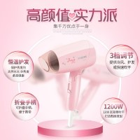 飞利浦（PHILIPS） 吹风机 BHC010/05 家用电吹风 大功率可折叠 冷热风恒温护发多档调节 HP8120同款
