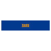 黄金搭档多种维生素矿物质片（中老年型）礼盒套装1000mg/片*100片 中老年复合维生素属营养品 均衡营养 乐享生活