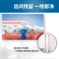 飞利浦(Philips)冲牙器通用清洁喷嘴HX8032/05灰色 2支装 适配HX8331/HX8401/HX8431