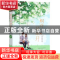 正版 桐花朵朵开 虫小扁,魅丽文化 广东旅游出版社 97875570186