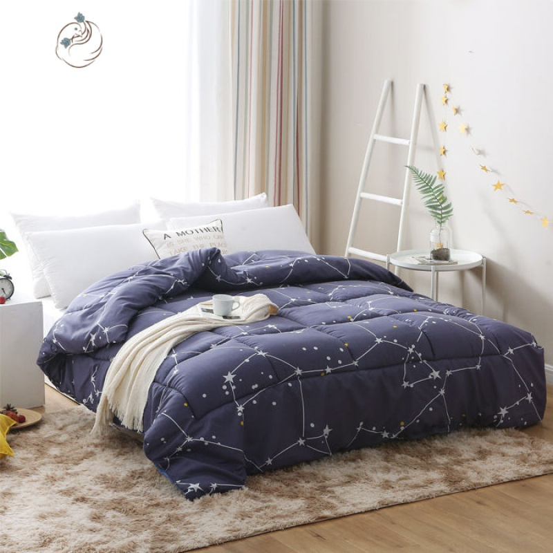 被子被套丝棉被芯夏凉被双人冬加厚保暖冬季棉被单人春秋被空调被