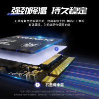 梵想(FANXIANG)S630系列500GB SSD固态硬盘 M.2接口NVMe协议PCIe 4.0 x4 2230