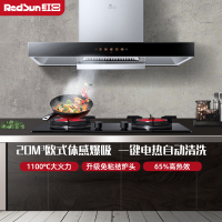 红日(RedSun)欧式烟灶套装厨电套装红外线燃气灶吸油烟机组合大吸力不黑锅节能省气TSEU05+ES218B 天然气