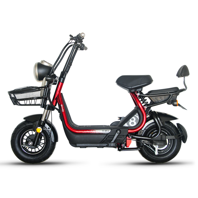 比德文电瓶车锂电池电动车电动自行车魔王pro 可取充电TDT1819Z