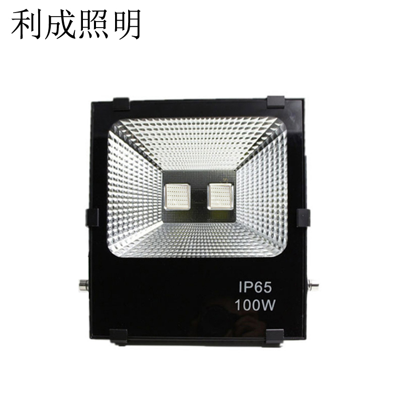 利成照明 彩色泛光灯 LC1321-100W